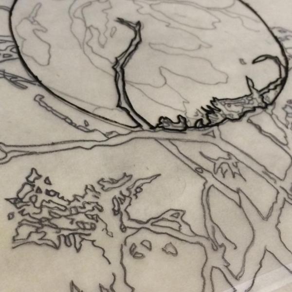 Tracing For A Sphere, (2020), Graphite On Tracing Paper
