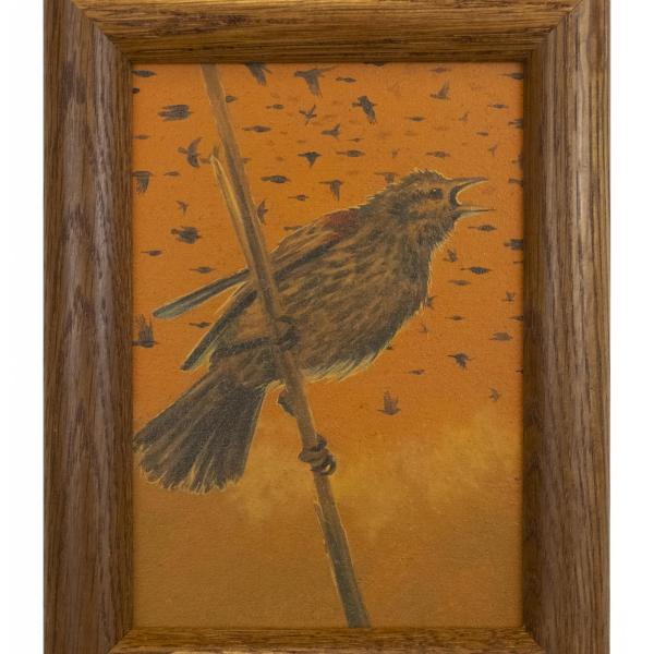 Bizarre! Female Red-Winged Blackbird with Red Epaulets, 2021 charcoal, acrylic and oil on mounted paper in reclaimed frame 6.5 x 8.5”