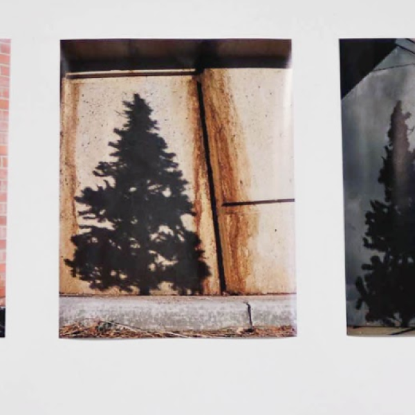 Xiaoxiao Strong. "It's an Illusion," photography. 14"x11" each. 2019