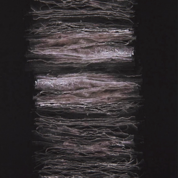 Emily Irvin. "Lamellar," scanned image. 72"x9". 2019