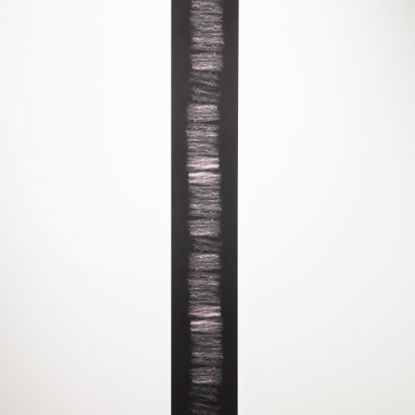 Emily Irvin. "Lamellar," scanned image. 72"x9". 2019