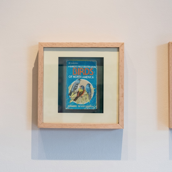 Robert Martin. "Ken & Val; Sarah Jayne; Becky, Bill & Bob," gouache, watercolor, colored pencil, and pen/ink in custom oak shadowbox. 2019 13"x13"x3" each