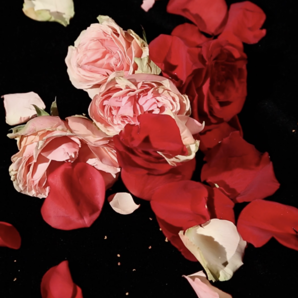 You Are Prettier When You Smile, 2021 Video and Sound Installation