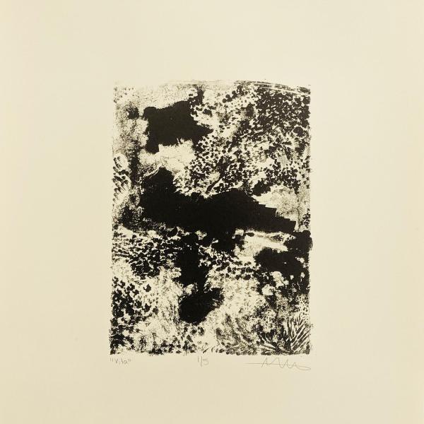 Vita, Lithograph, 13” x 11”, 2020
