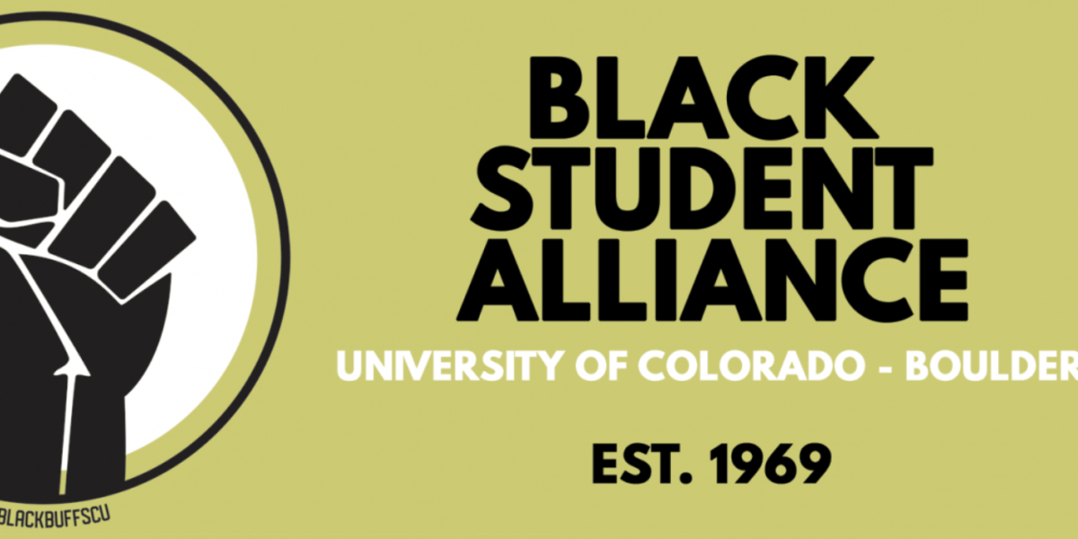 BSA logo