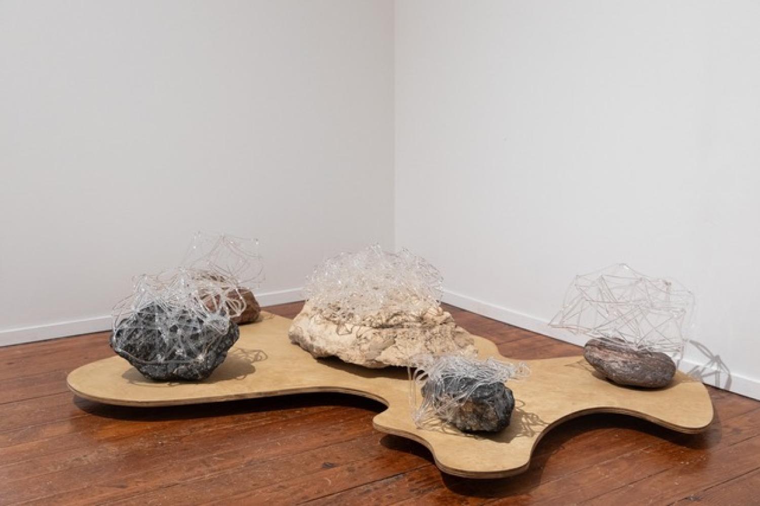 Amy Hoagland