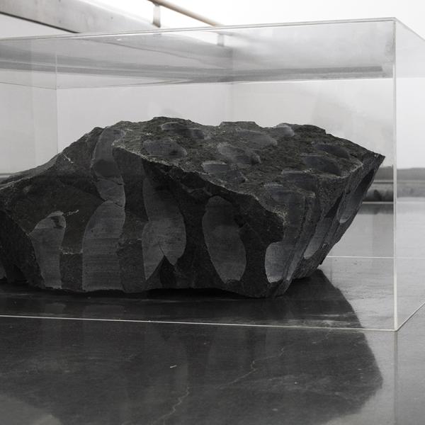 "Split Estate," Granite from public land, acrylic boxes Dimensions variable, each box 30” x 30” x 12” 2019