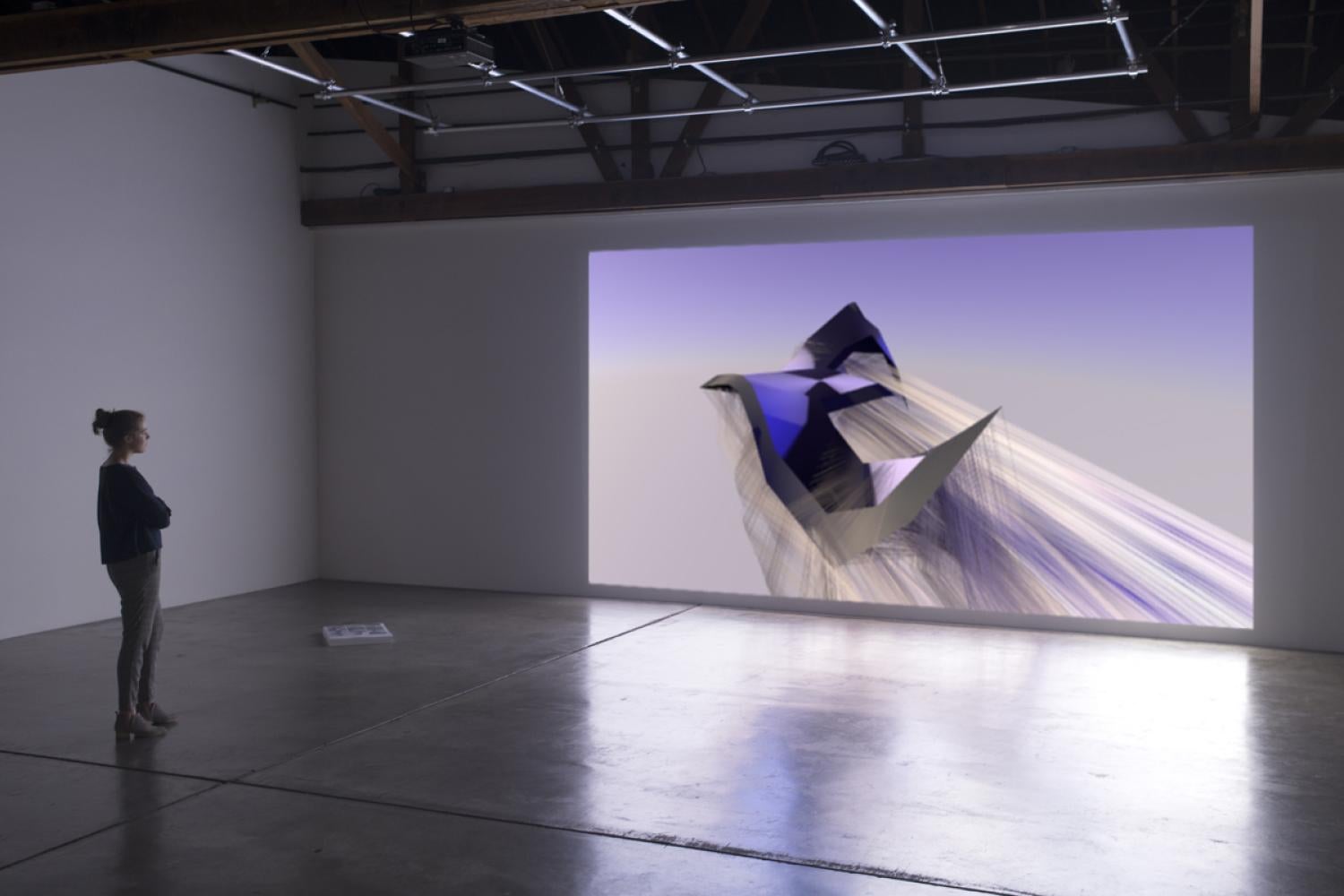 Rick Silva image of video installation