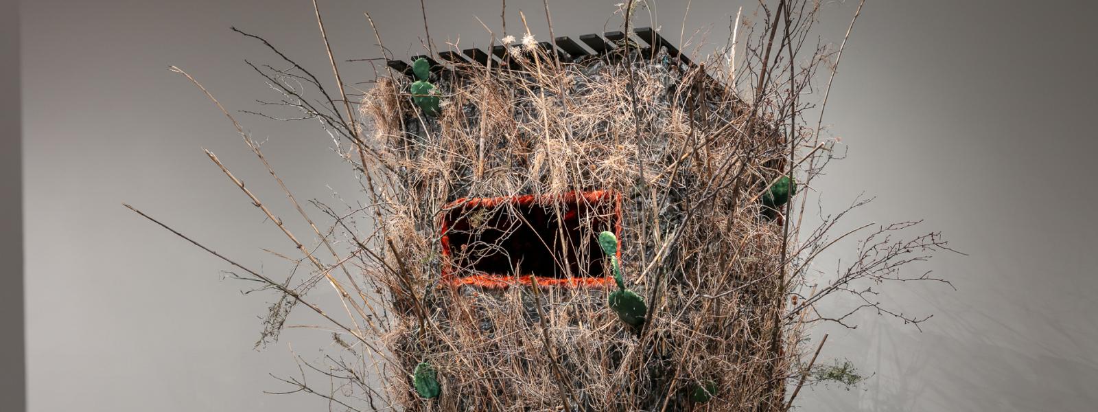 MFA Thesis exhibition, CU Art Museum, Spring 2024