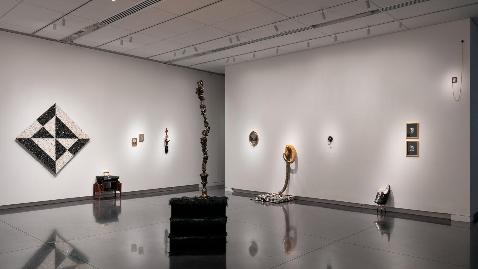 Alli Lemon, CU Art Museum, MFA Thesis Exhibit round 1