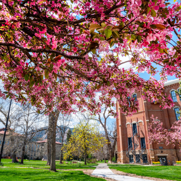 CU Boulder campus in the fall
