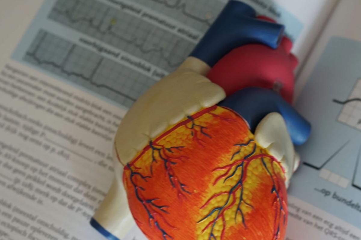 heart health