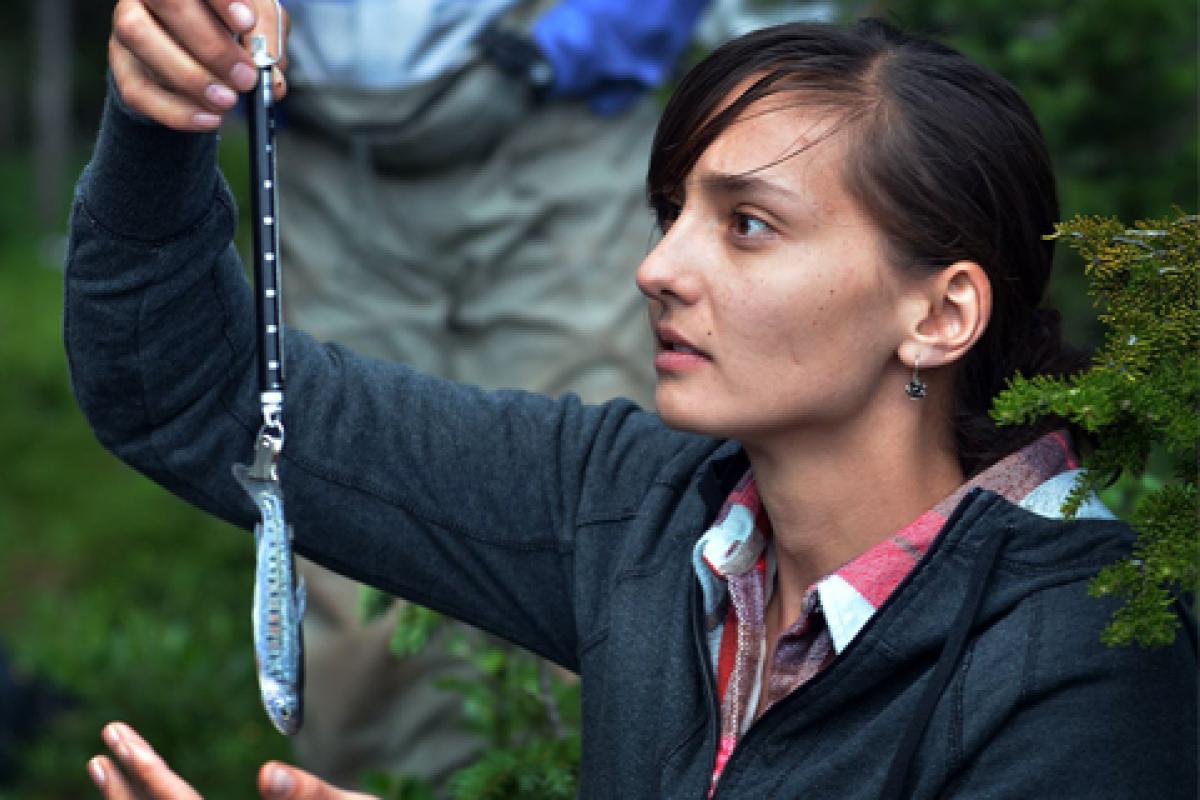 A student weighs a rare cutthroat fish.