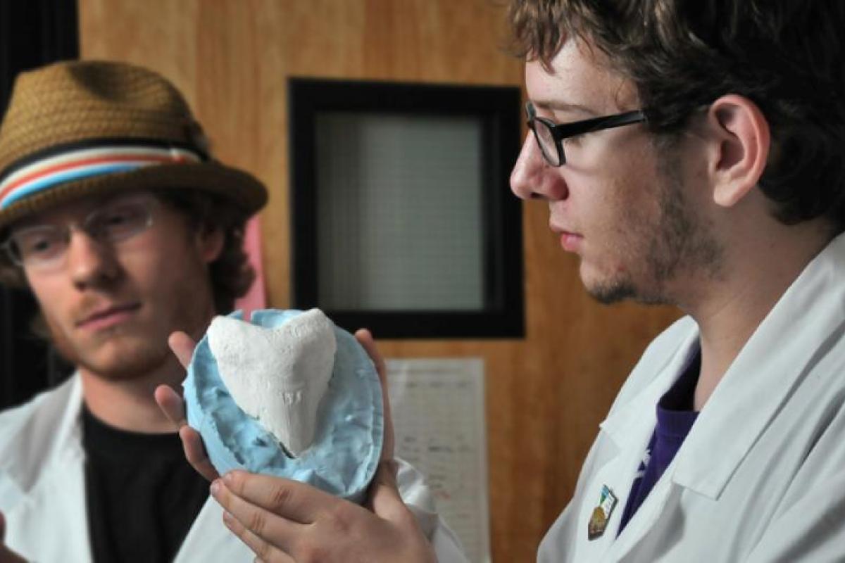 Students looking at fossils