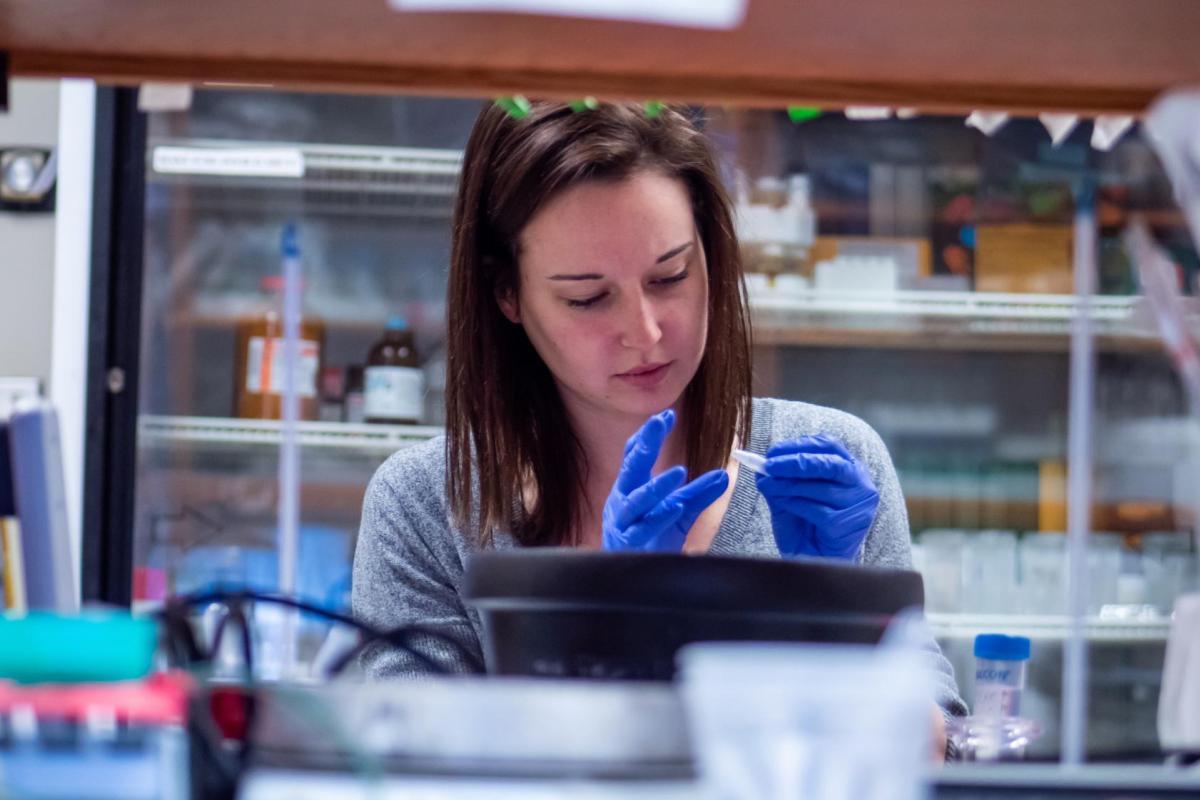 Students work in an IPHY lab analyzing organic cultures