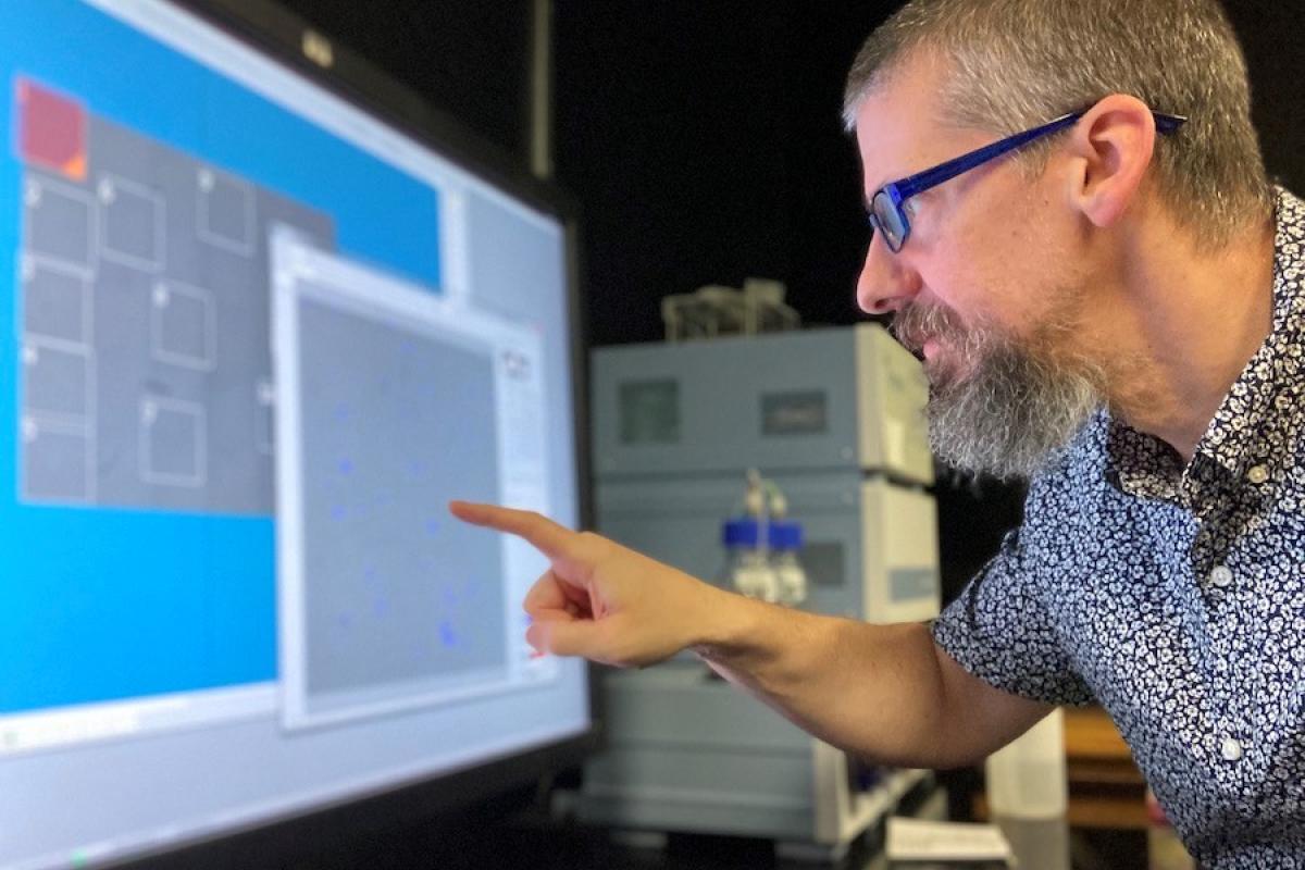 James Orth looking at computer screen