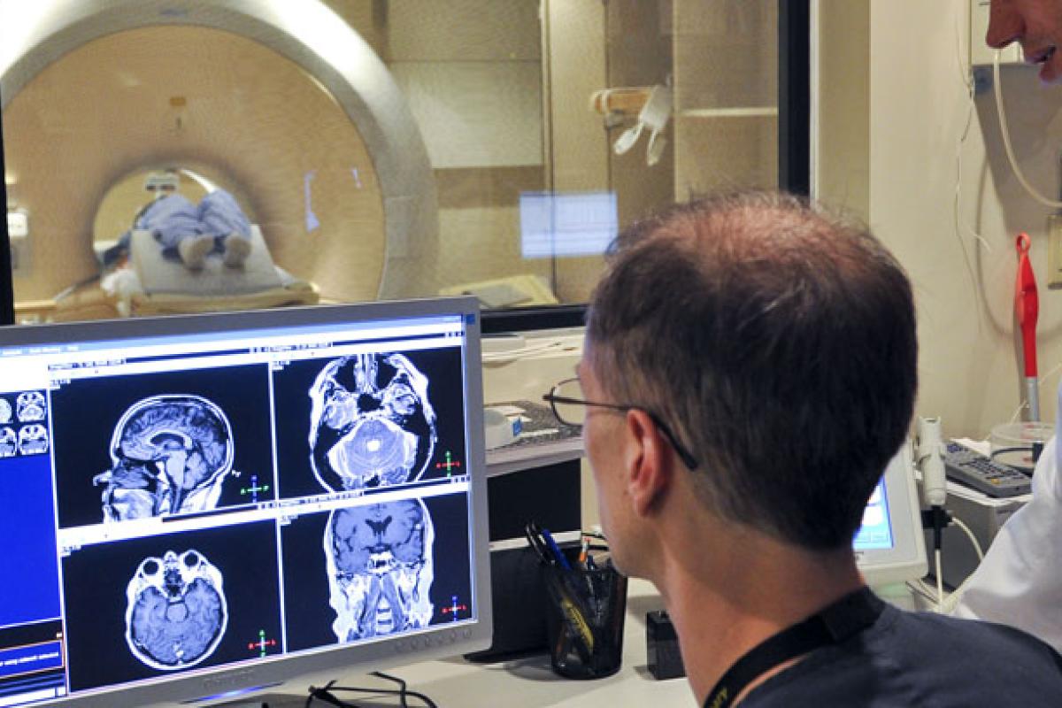 Neuroscience experiment