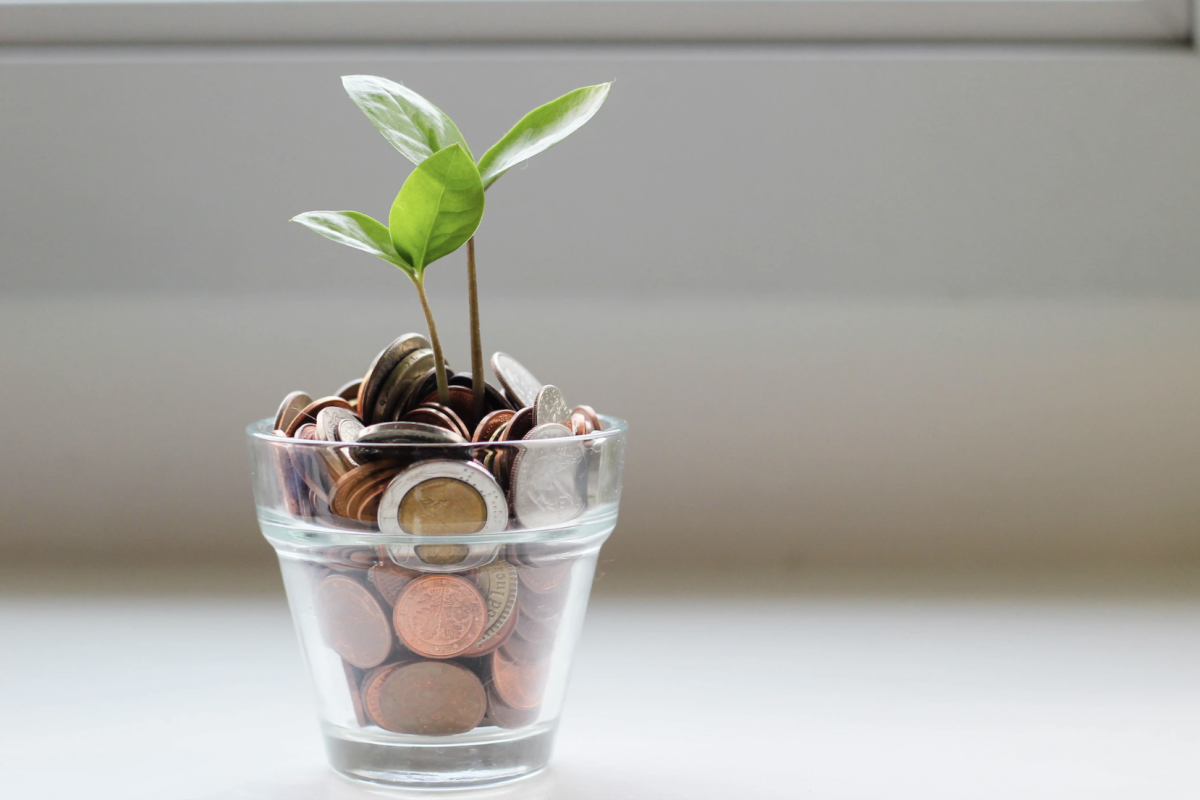 growing wealth