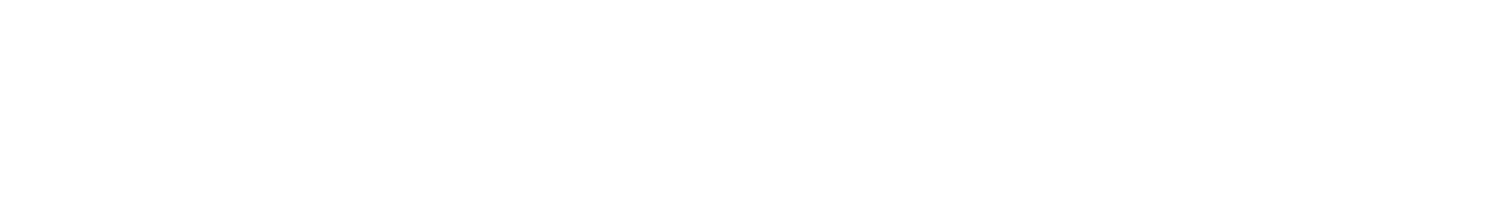 Buffalo Walking