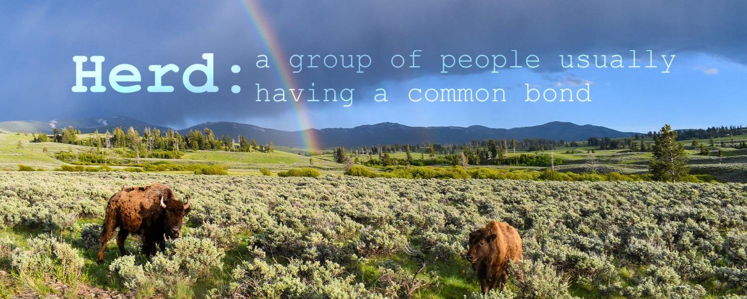 Herd: a group of people usually having a common bond