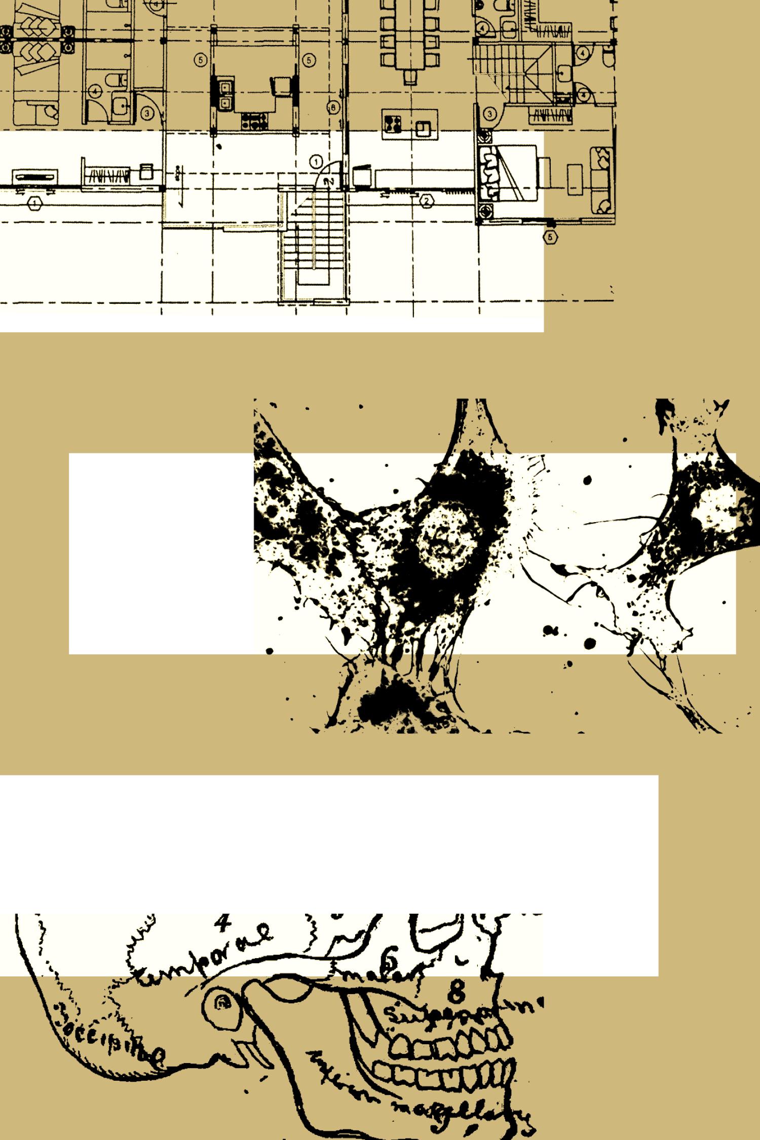 A series of abstract line drawings that resemble maps, animals and a skull, represent some of the research topics students' took on in spring 2022.