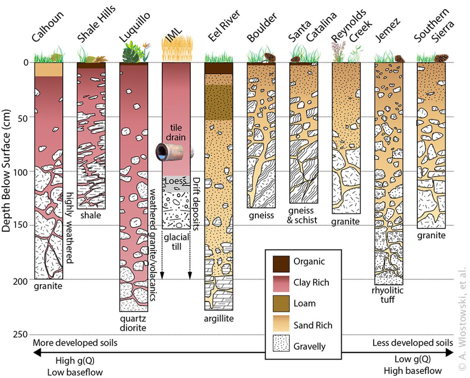soil