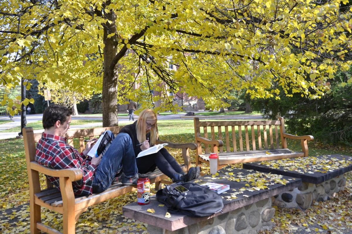 Two students studying together on a bench under a tree