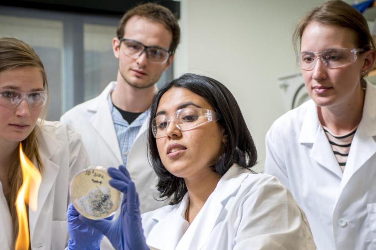 Students in biochemistry lab