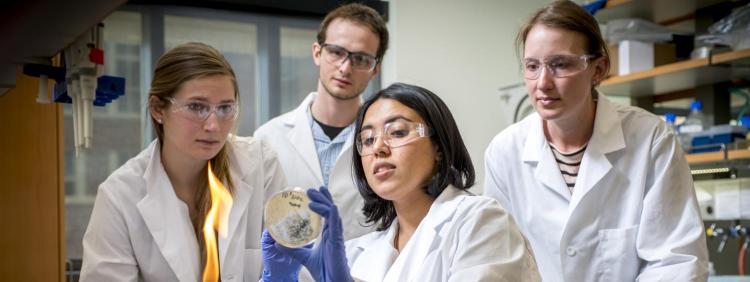 biochemistry research