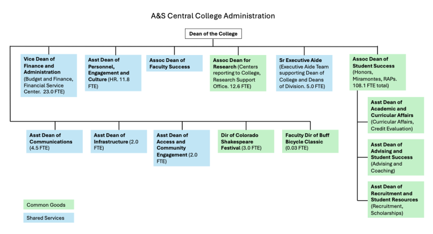 College org chart