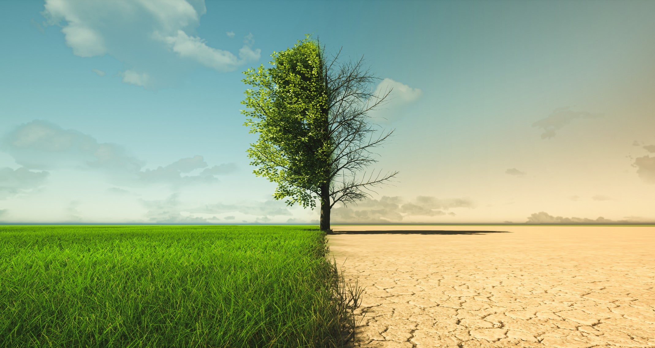 Exploring selfish incentives for pursuing climate policy | Colorado ...
