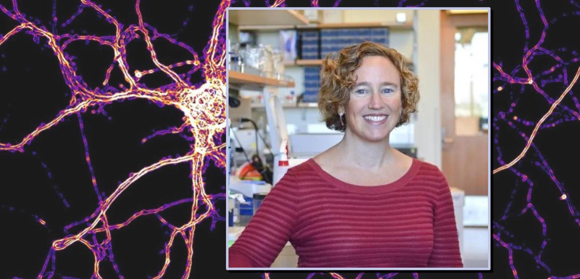 Biochemist wins Cogswell Award for Inspirational Teaching | Colorado ...