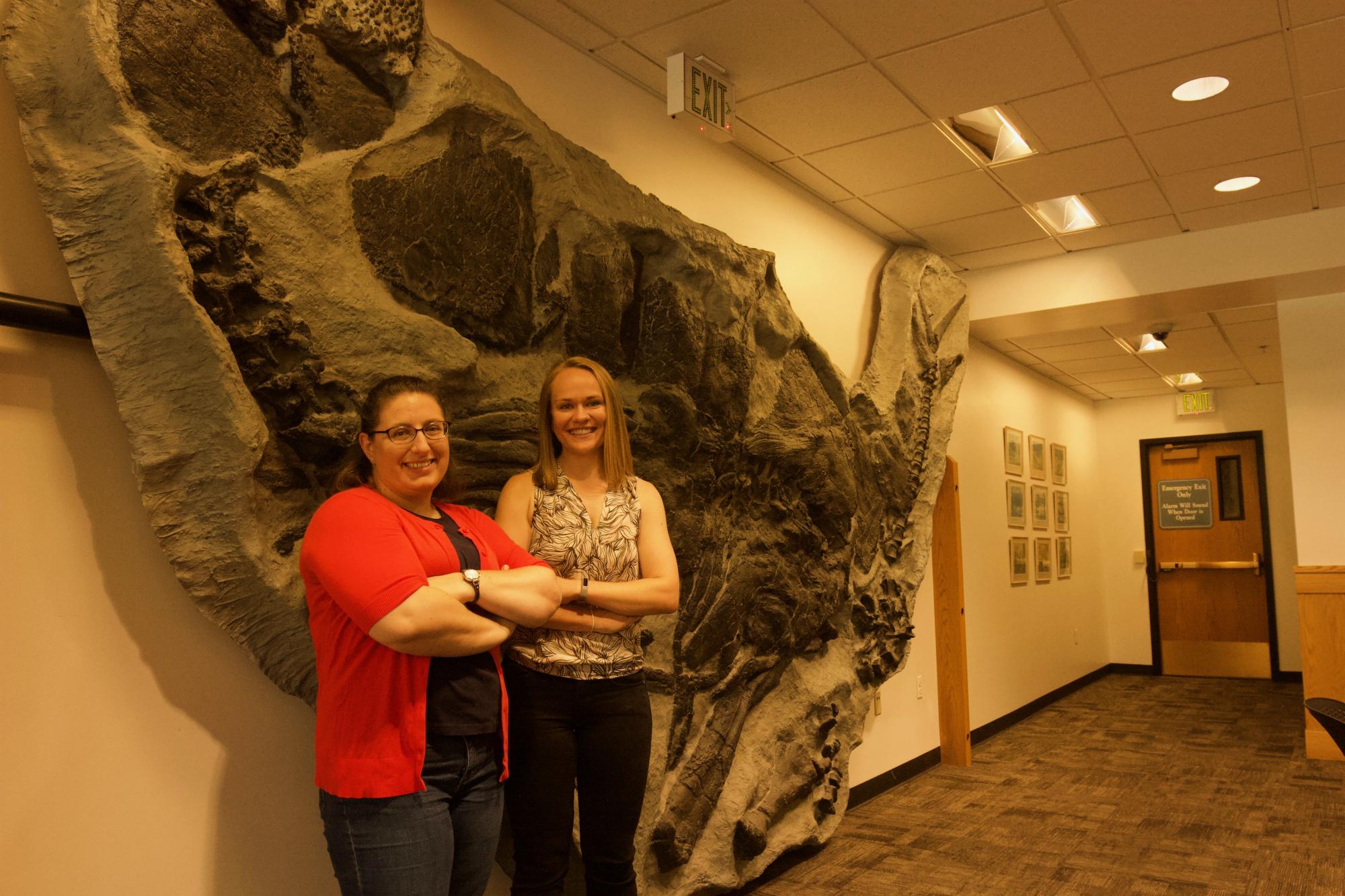 Instructors improve the accessibility of geology | Colorado Arts and ...