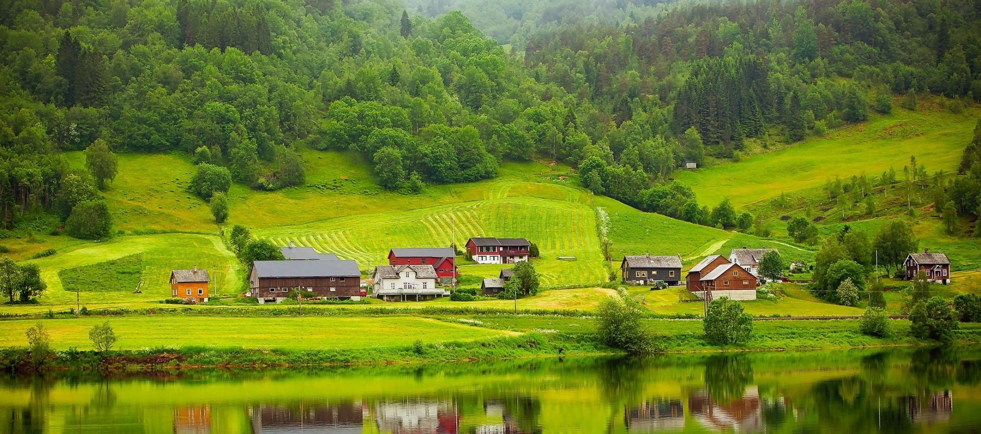 Worldwide, 1.6 billion rural people live within 5 km of a forest ...