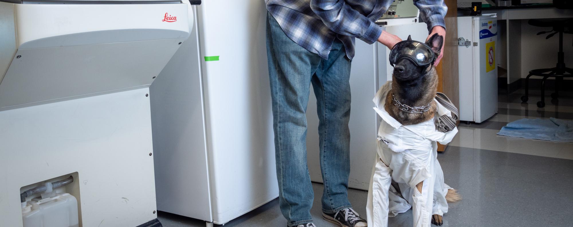 Xenna the service dog helps Navy vet do laboratory research | Colorado ...