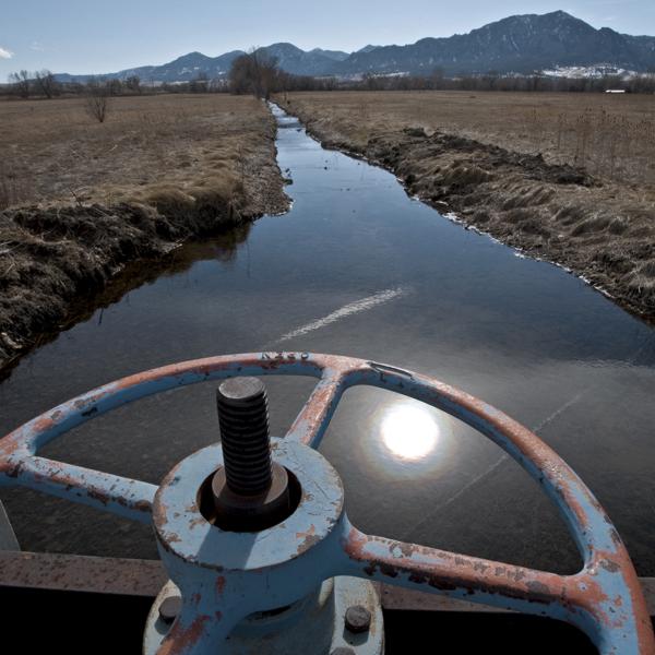Water-expert alumnus swims into current affairs