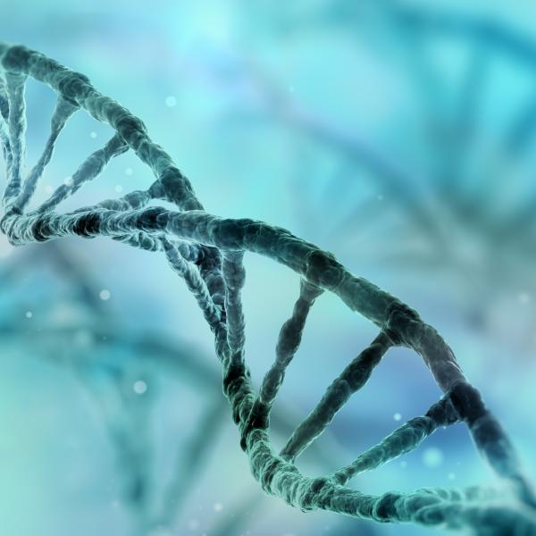 DNA