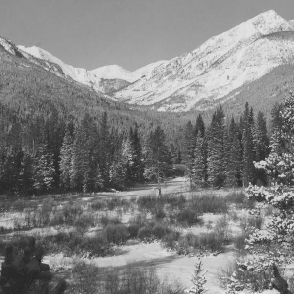 History of Coyote Valley zeroes in on RMNP ecology