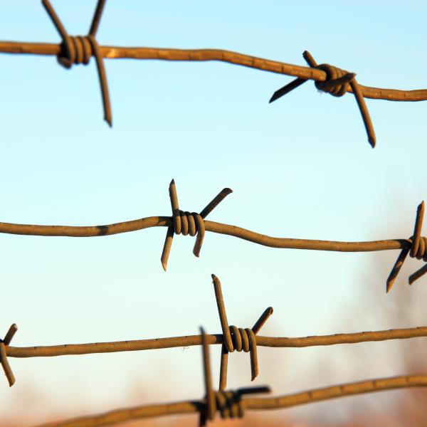 Building bridges between perilous homes and new horizons