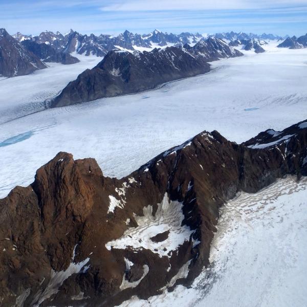 Arctic