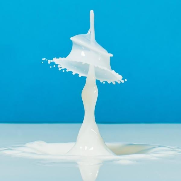 Milk