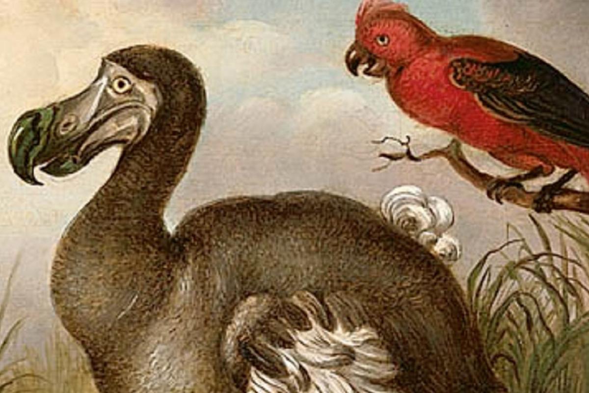 CU research IDs new strategy to fight species extinction
