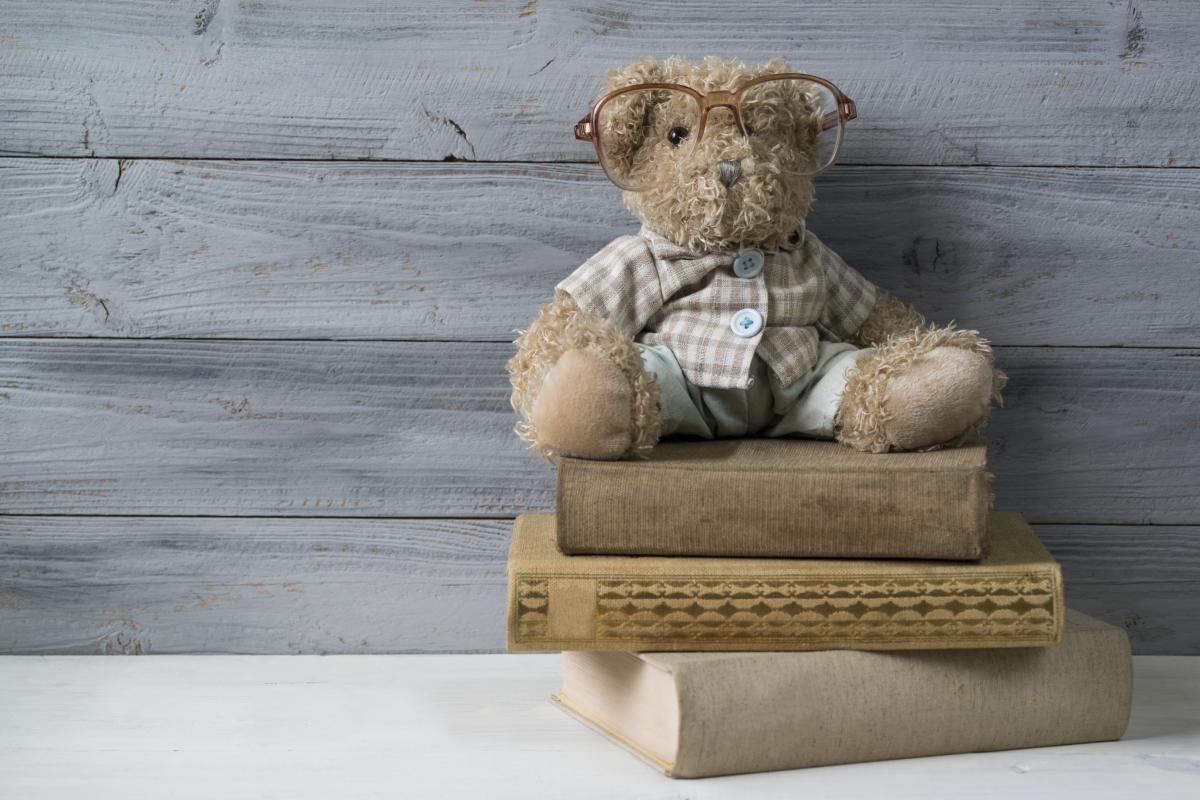 Bear with book