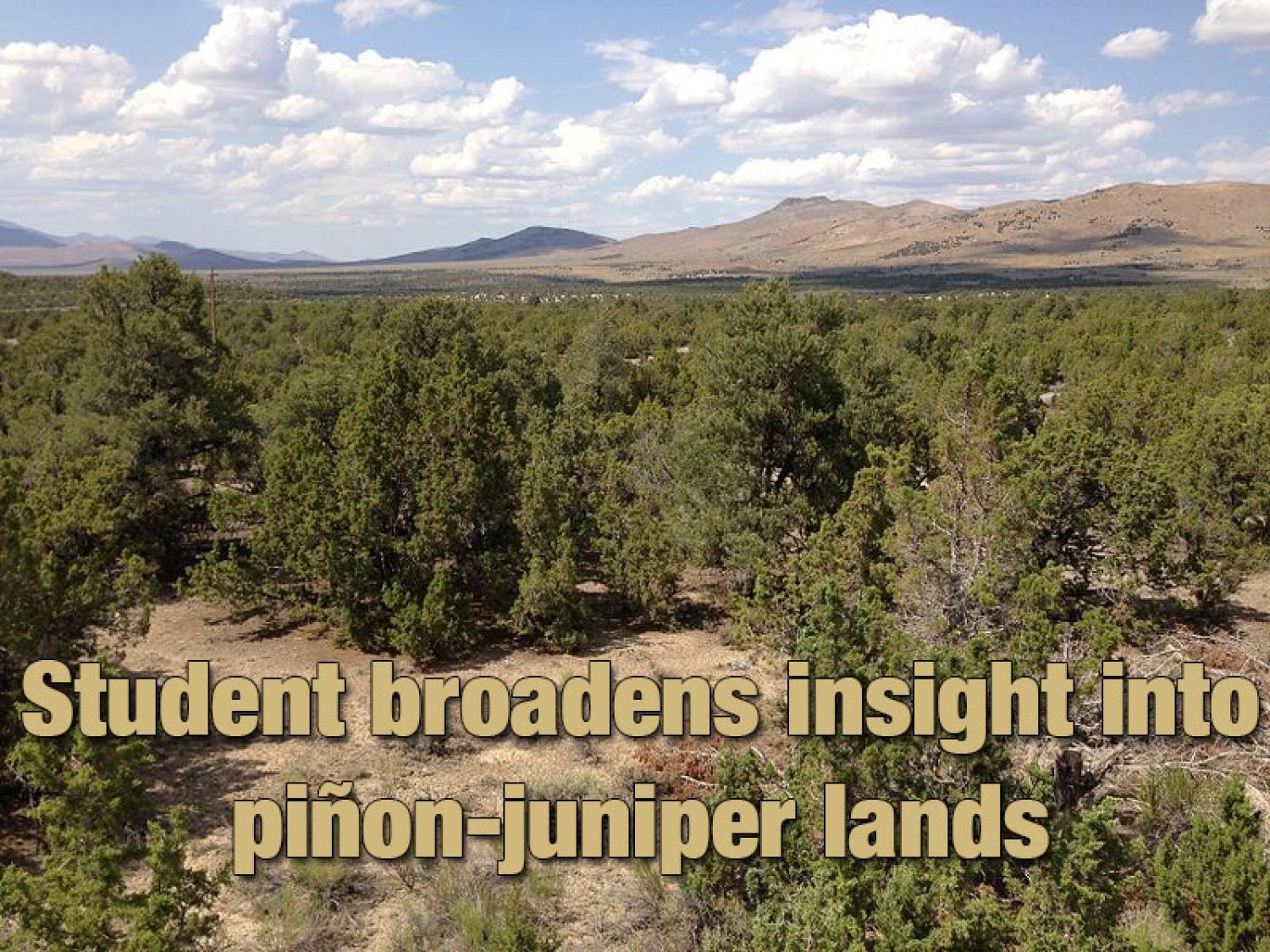 Ariel view of piñon-juniper lands