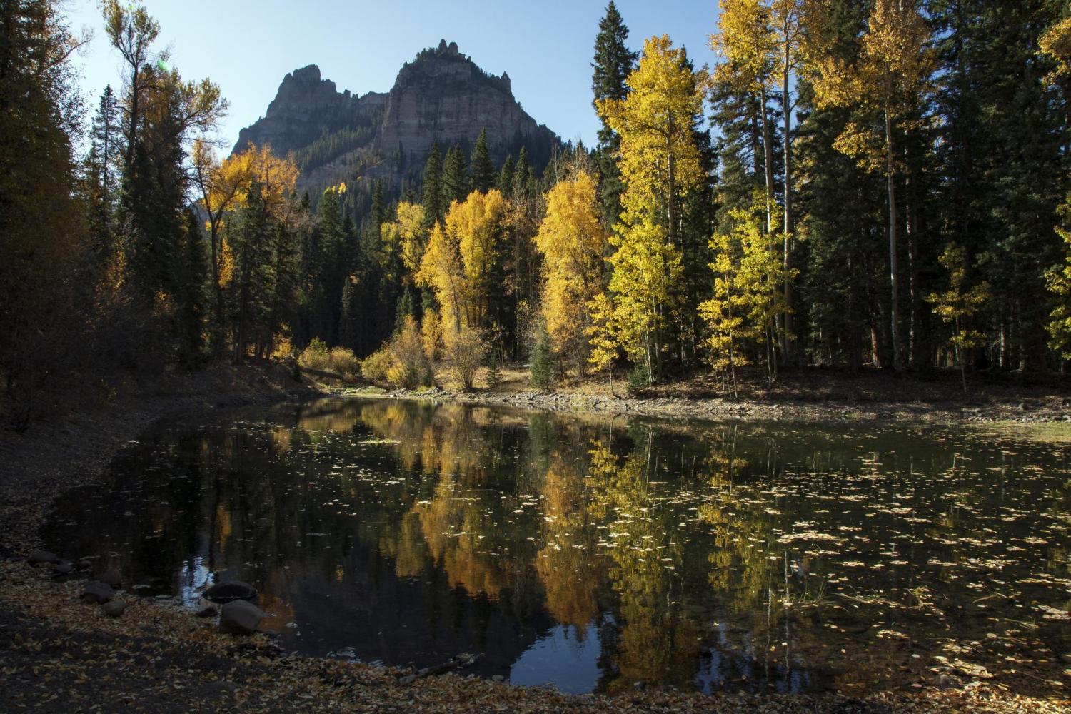 reflecting pool