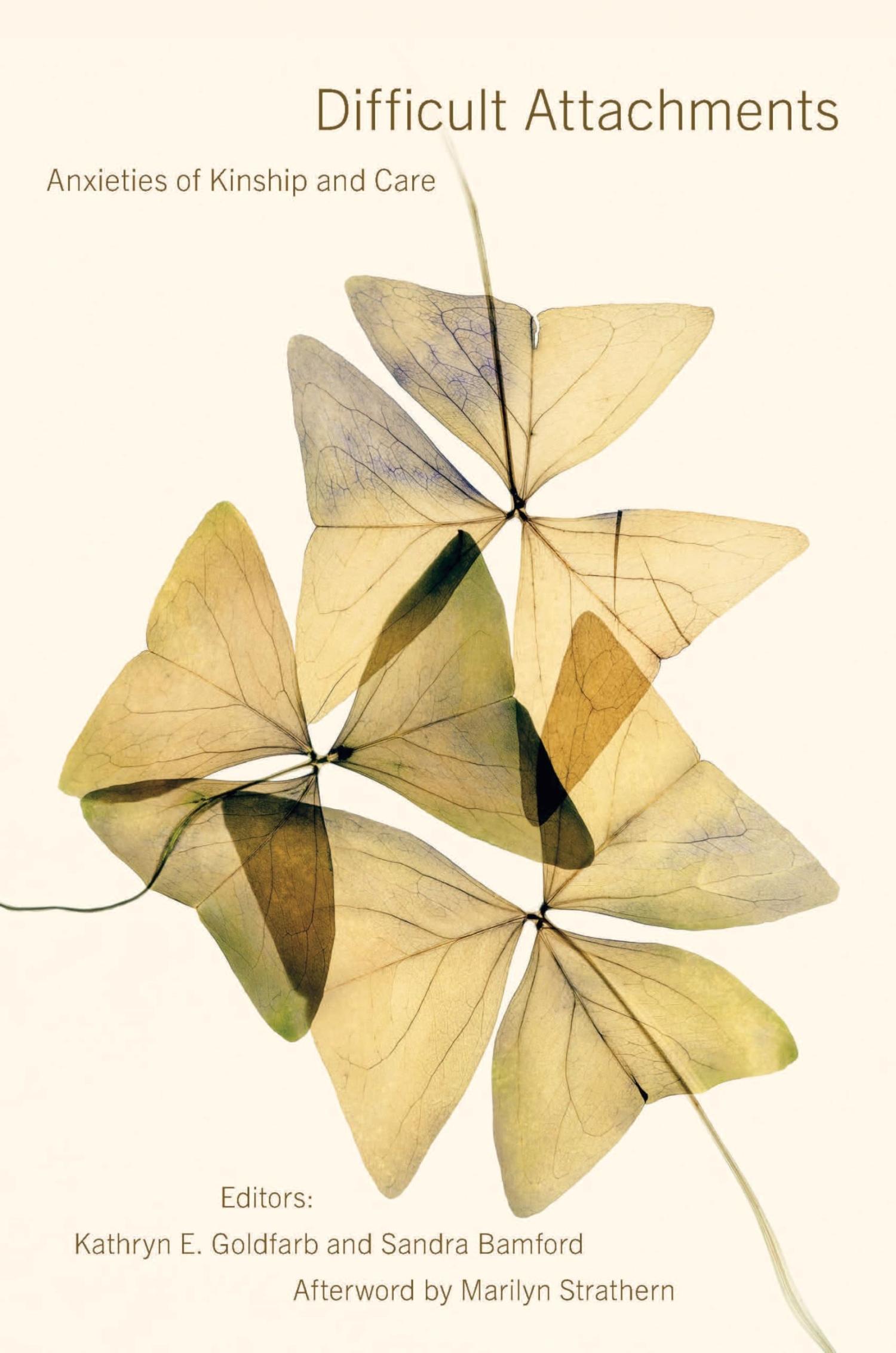 book cover of Difficult Attachments