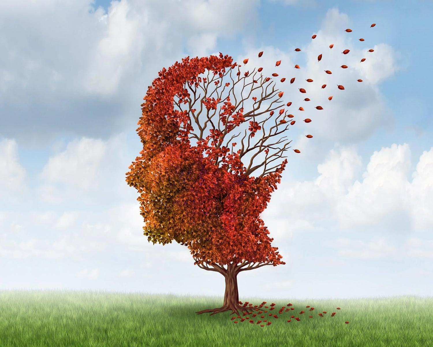 illustration of tree shaped like human head with leaves blowing away