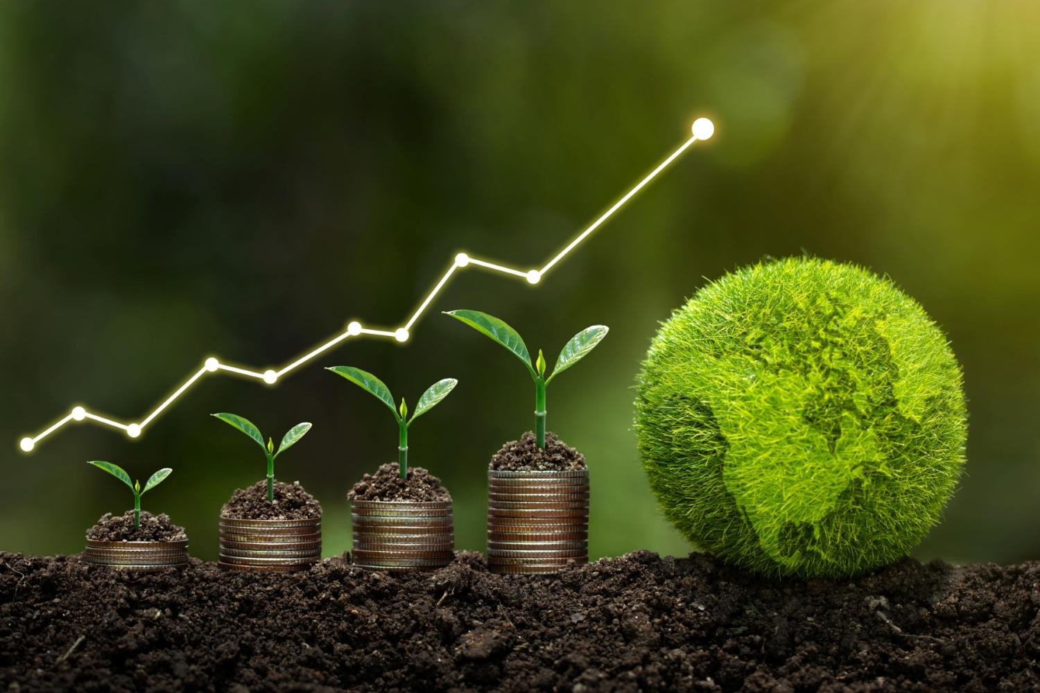 climate change illustration with plants growing on stacks of quarters