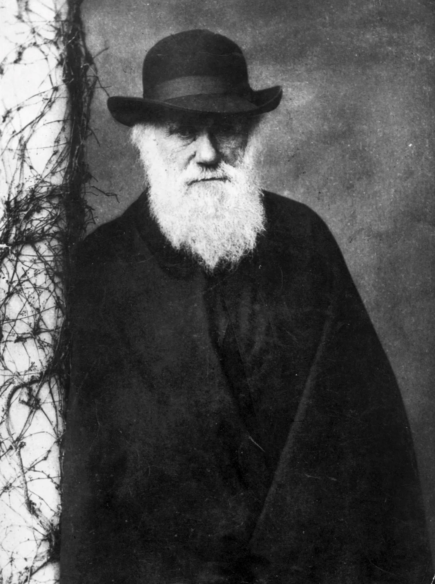 black and white portrait of Charles Darwin