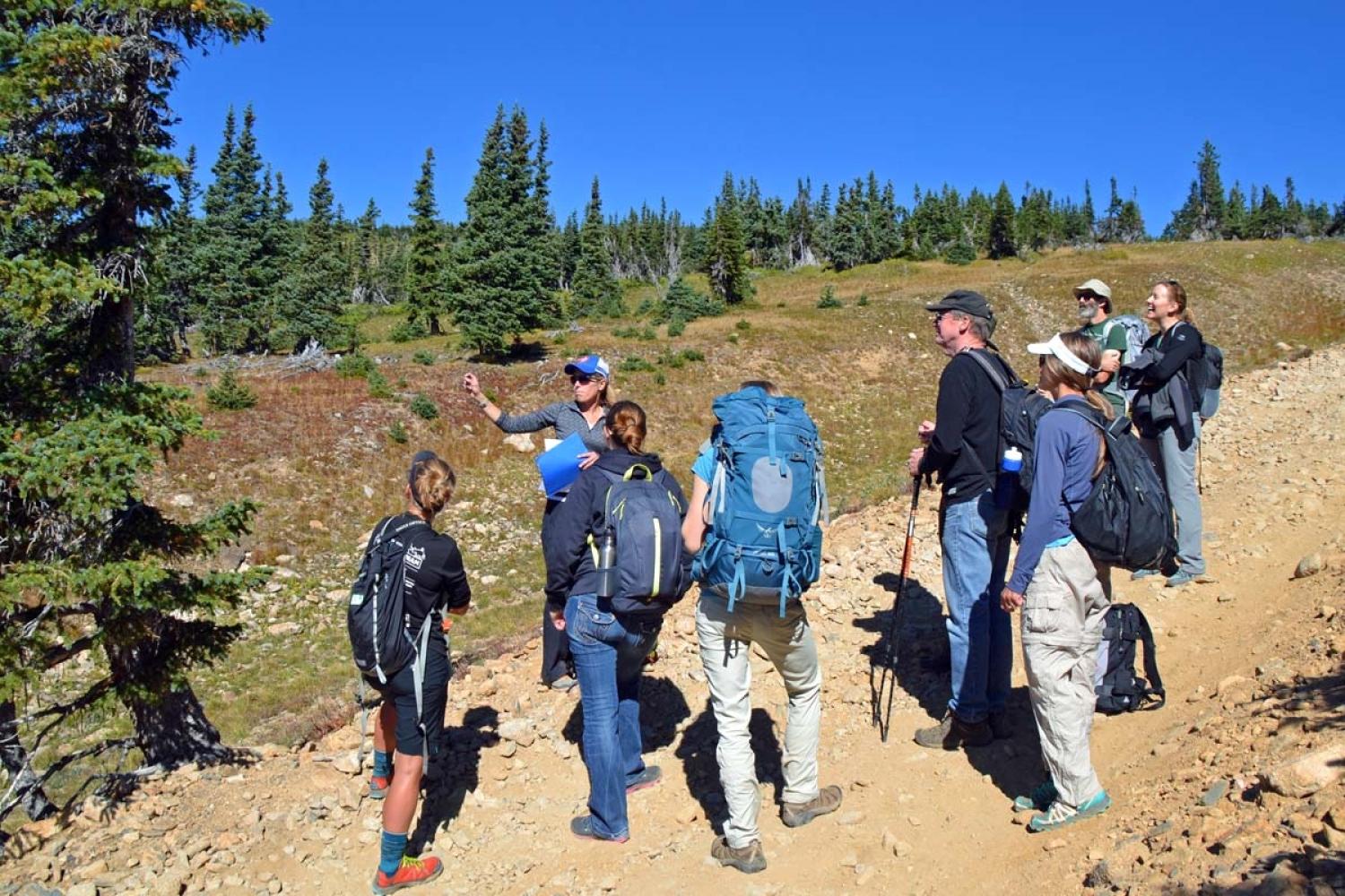 Katharine Suding leading a student tour on a mountain trail